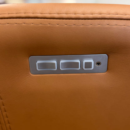 Magnus Dual Power Cordless Recliner